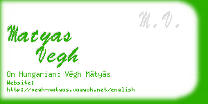 matyas vegh business card