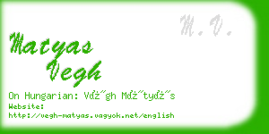 matyas vegh business card